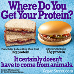 Where Do Your Get Your Protein?