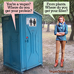 You're a vegan? Where do you get your protein?