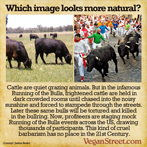 Which image looks more natural? (Running of the Bulls)