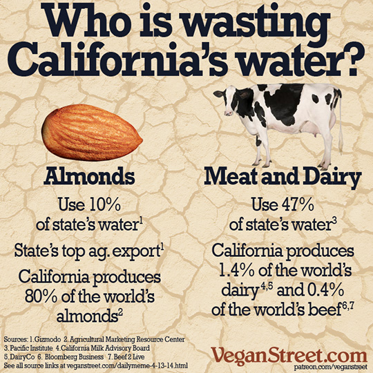 Who is wasting California's water?