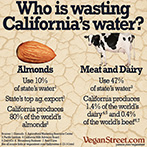 Who is wasting California's water?