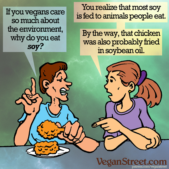 If you vegans care so much about the environment, why do you eat soy?