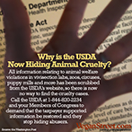 Why is the USDA now hiding animal cruelty?