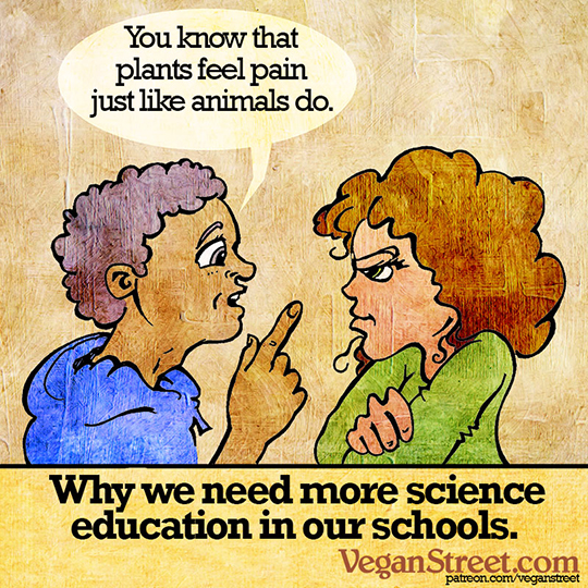 Why we need more science education in schools.