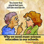 Why we need more science education in our schools.
