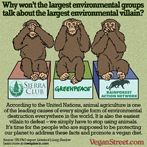 Why won't the biggest environmental groups talk about the biggest environmental villain?