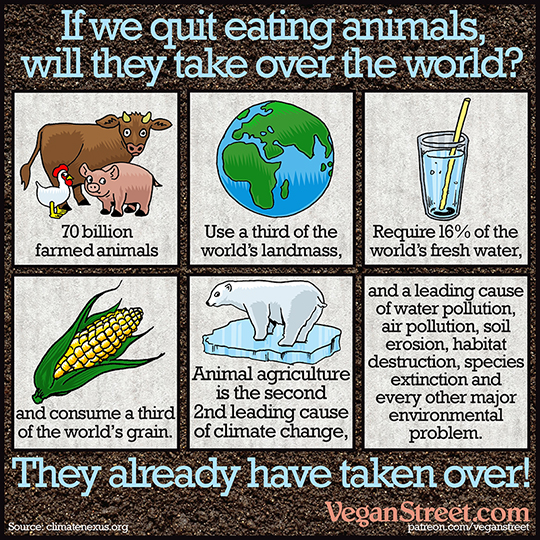 If we stop eating animals, will they take over the world?