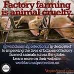 Factory farming is animal cruelty.