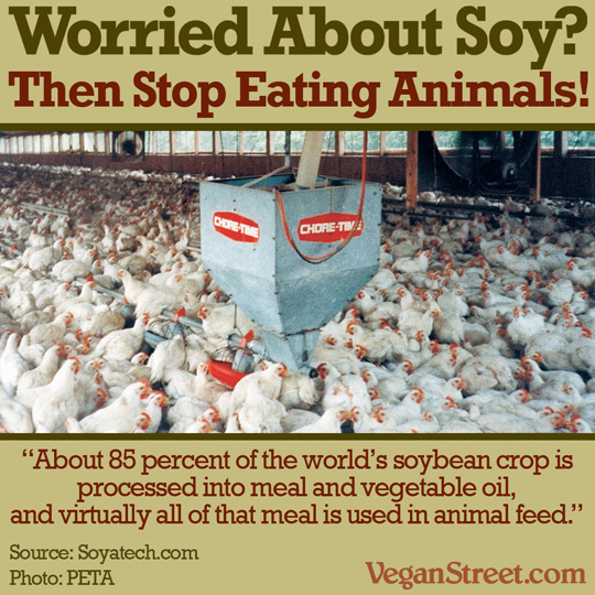 Worried about soy? Then stop eating animals!