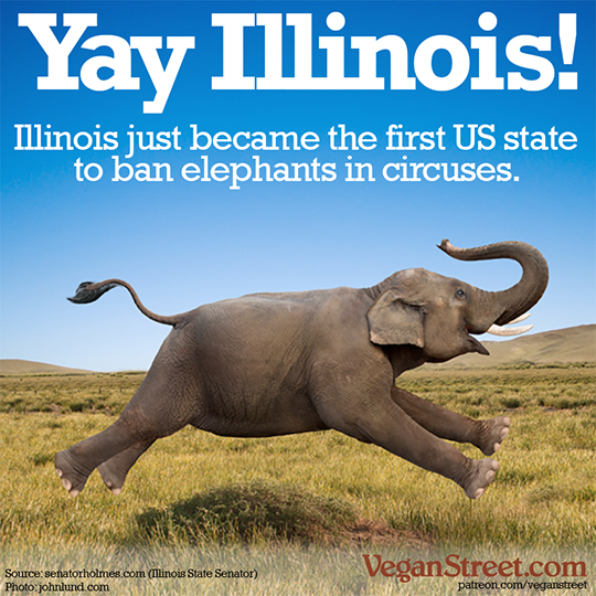 Illinois just became the first US state to ban elephants in circuses.