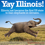 Illinois just became the first US state to ban elephants in circuses.