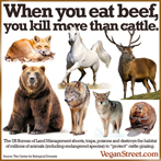 When you eat beef, you kill more than cattle.