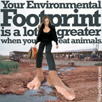 Your environmental footprint is a lot greater when you eat animals